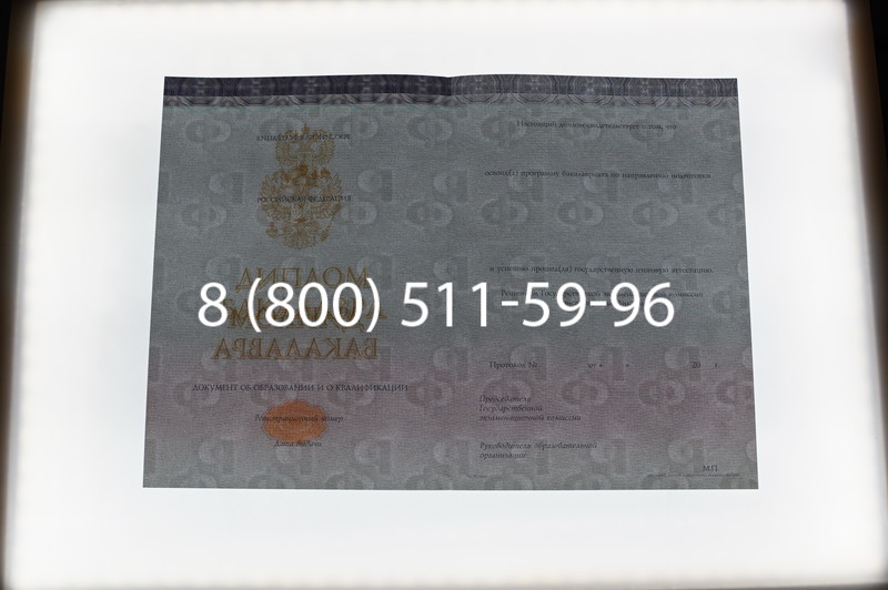 Заказать Диплом бакалавра (Киржач) 2014-2024 года в Кургане