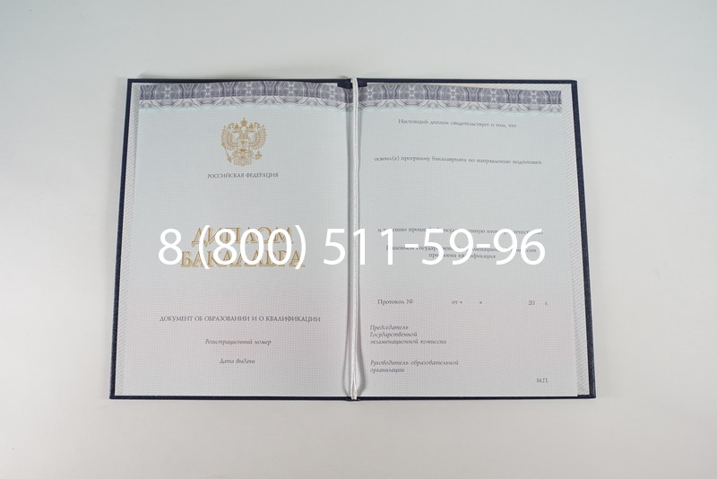 Диплом бакалавра (Киржач) 2014-2024 года в Кургане