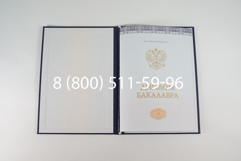 Диплом бакалавра (Киржач) 2014-2024 года в Кургане