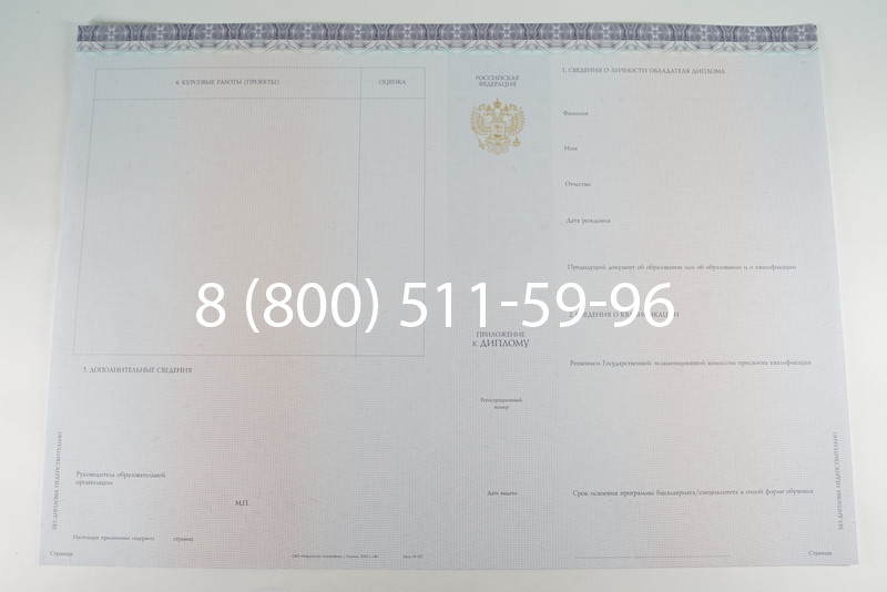Диплом бакалавра (Киржач) 2014-2024 года в Кургане