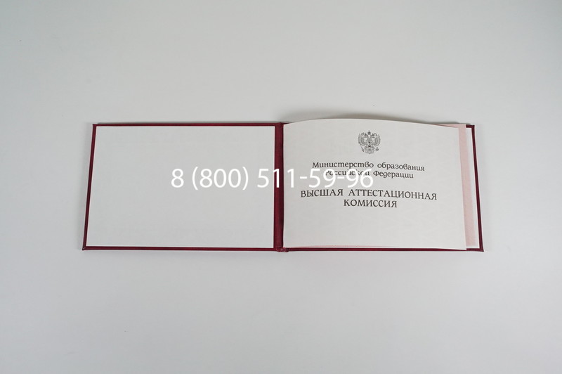 Диплом доктора наук 1995-2006 года в Кургане Диплом доктора наук 1995-2006 года в Кургане
