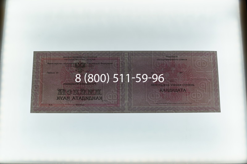 Заказать Диплом кандидата наук 2010 в Кургане