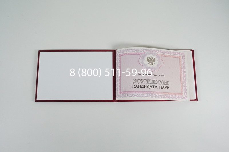 Заказать Диплом кандидата наук 2010 в Кургане