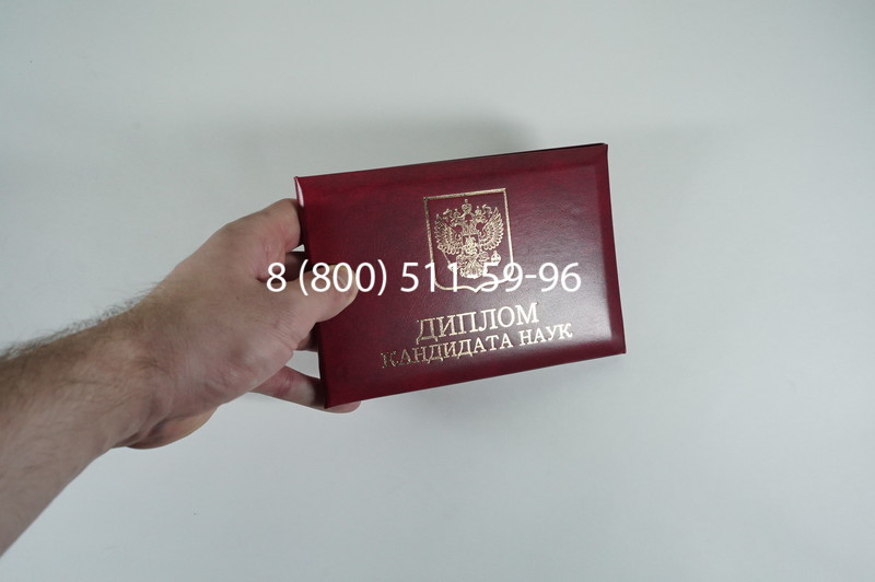 Диплом кандидата наук 2010 в Кургане
