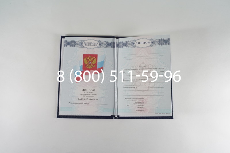 Диплом колледжа 2007-2010 годов в Кургане