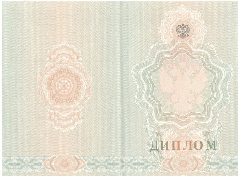Купить Диплом о начальном образовании  2007-2009 годов в Кургане