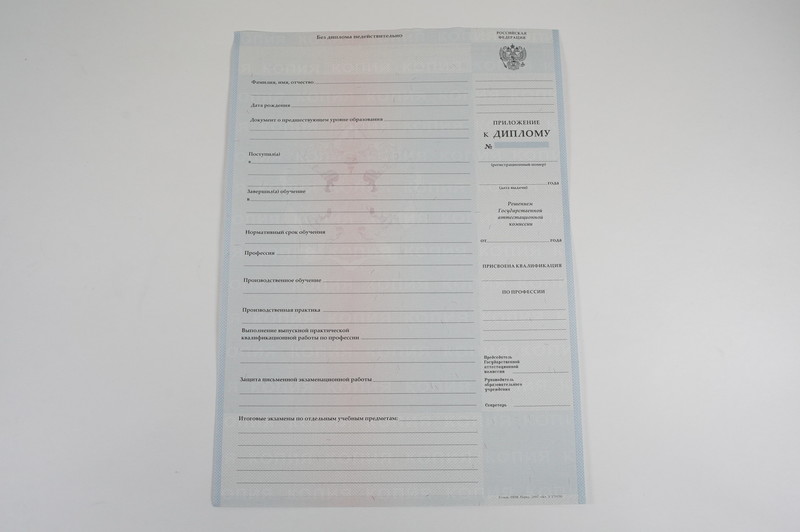Диплом о начальном образовании  2007-2009 годов в Кургане