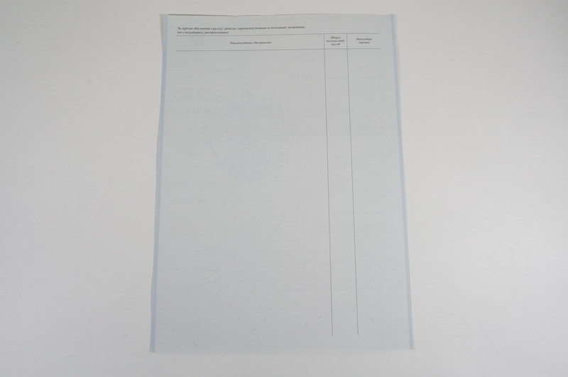 Диплом о начальном образовании  2007-2009 годов в Кургане