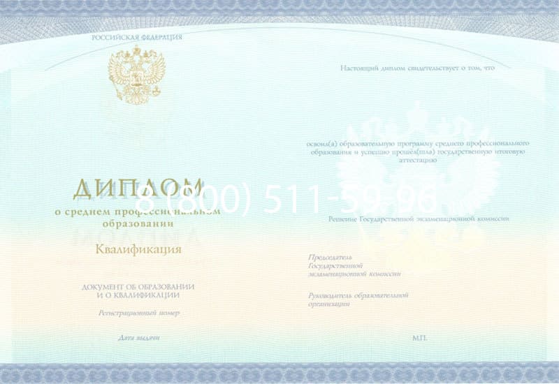 Купить Диплом о среднем образовании (Спецбланк) 2014-2024 года в Кургане