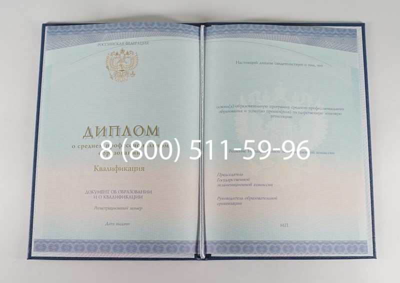 Диплом колледжа (Спецбланк) 2014-2024 года в Кургане Диплом колледжа (Спецбланк) 2014-2024 года в Кургане