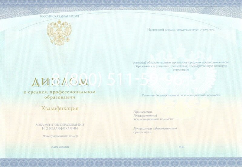 Купить Диплом колледжа (Спецбланк) 2014-2024 года в Кургане Купить Диплом колледжа (Спецбланк) 2014-2024 года в Кургане
