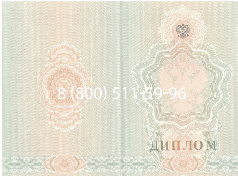 Купить Диплом училища 2007-2009 годов в Кургане Купить Диплом училища 2007-2009 годов в Кургане